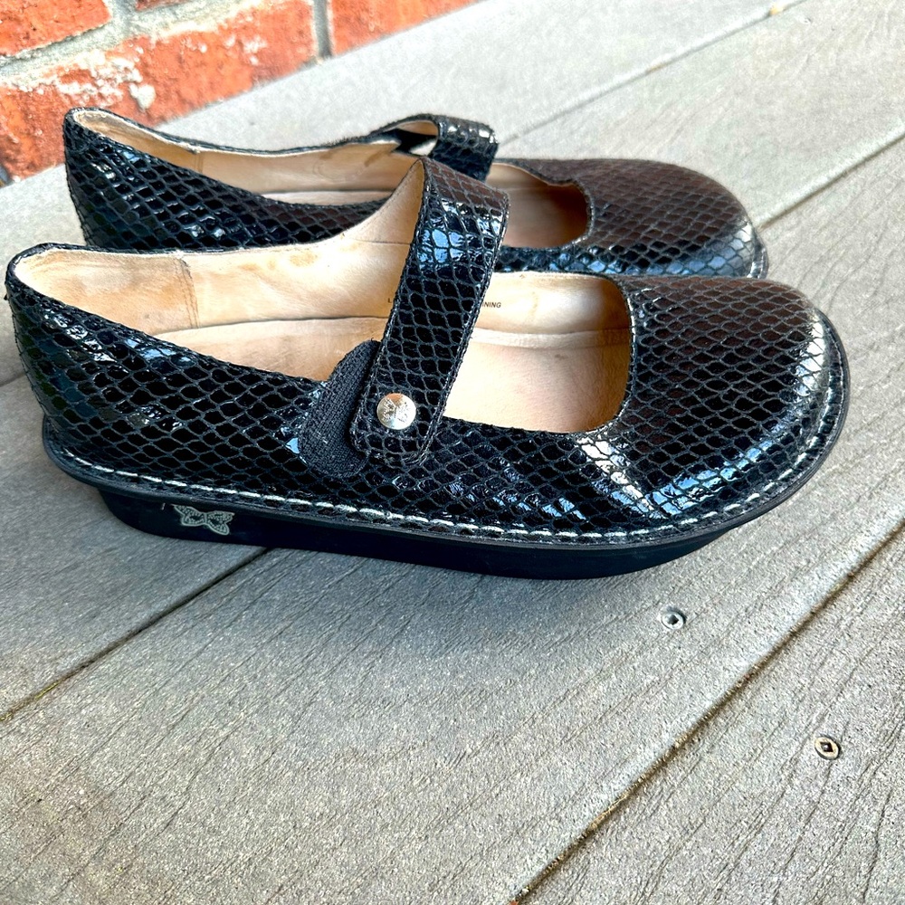 EUC Alegria Paloma collect in black snake - Picture 1 of 9